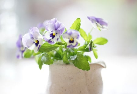 *** Vase of pansies *** - flowers, vase, pansies, nature