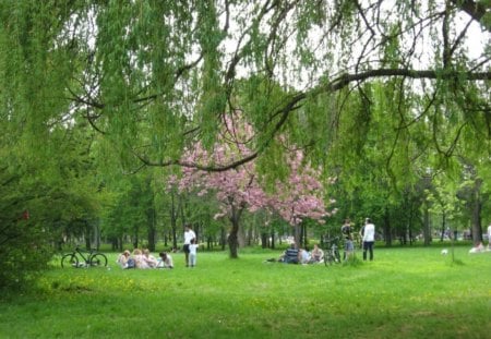 Park - nice, photo, photography, nature, park, bulgaria