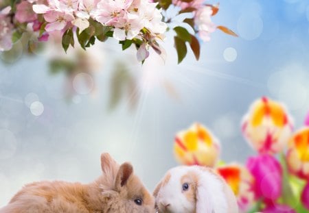 Easter bunnies - blossoms, tulips, bunnies, flowers, spring, holidays, eggs, easter, pastel, special days, sunshine, olorful, colorful