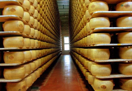 ageing cheese - entertainment, ageing cheese, yummy, foods