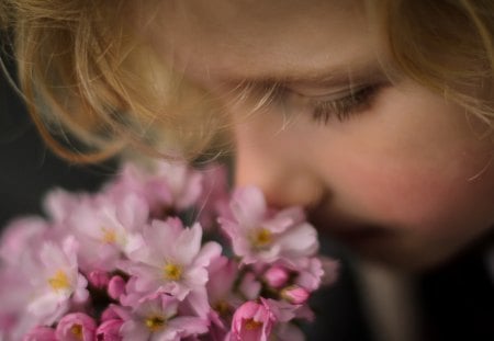 *** It smells amazing ... *** - nature, nice, smell, flowers, flower