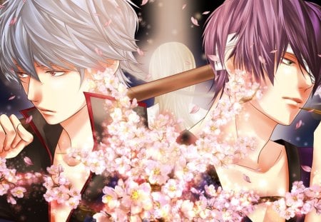 Gintama - gintama, sakata, hot, gintoki, sakata gintoki, cherry blossom, cool, sakura blossom, anime, cute, short hair, handsome, male, sexy, takasugi shinsuke, sakura, floral, boy, pink, flower