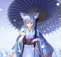 Winter Fox