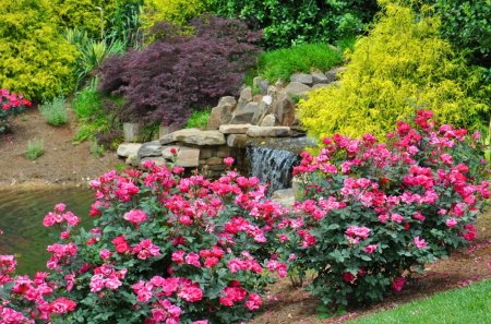 Stream in park - nice, freshness, roses, water, greenery, stream, spring, calm, quiet, pretty, grass, garden, bush, park, summer, lovely, forest, beautiful