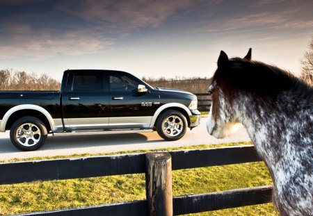 Dodge Ram - cars, dodge, horses, animals