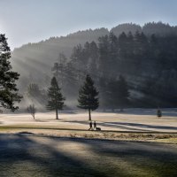 jugging on a frosty morning in the park