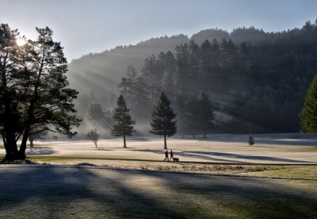 jugging on a frosty morning in the park - runners, sunbeams, frost, grass, park