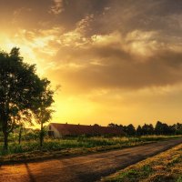 wonderful sunset over a farm