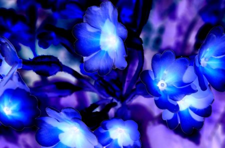 GLOWING FLOWERS - flowers, glowing, inspired by avatar, movie