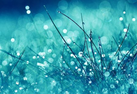 RAIN on Grass - water, grass, blue, rain