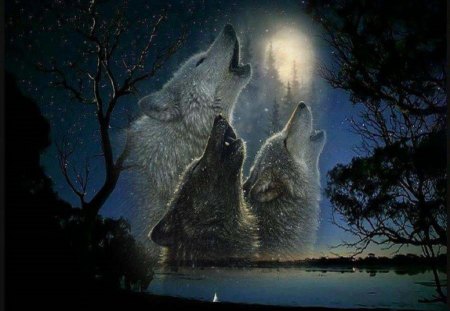 Midnight Song - moon, abstract, trees, fantasy, lake, animals, wolves