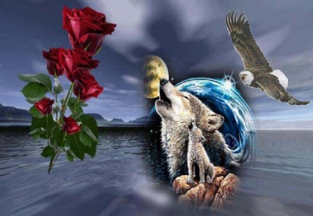 Wolf and Eagle - roses, abstract, fantasy, eagle, wolf, ocean, animals