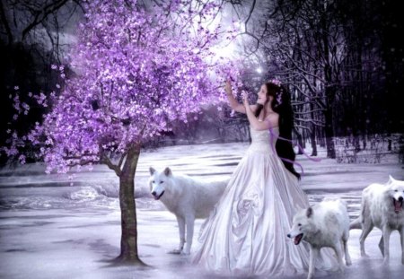 White beauty - girl, color, image wallpper, new