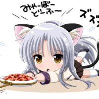 Neko girl getting food