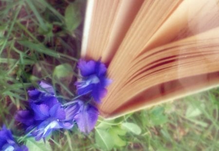 So in love with the wrong World - flower, book, abstract, soft