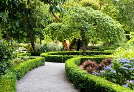 View @ the park - trees, park, green, view