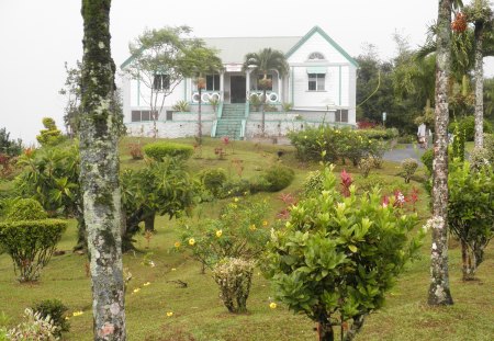 Flowers garden - house, Flowers, green, photography, Fields