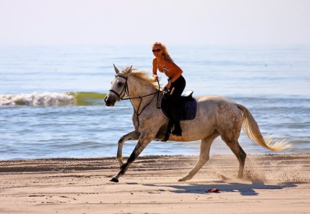 Lovely Day - jockey, sea, horse, woman