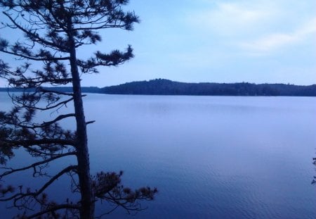 ~~; solitude blue ;~~ - nature, lake, tree, blue