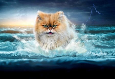 THUNDER CAT - storm, waves, ocean, lightning, cat