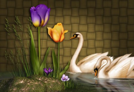 âœ¼Pretty & Lovely Swansâœ¼ - rocks, cute, beautiful, grass, plants, swans, animals, pretty, cool, tulips, flowers, digital art, pond, lovely, backgrounds, colors, other