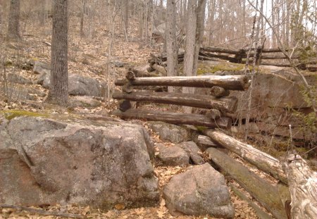 ~~; nowhere to go but up ;~~ - rock, hill, trees, fence