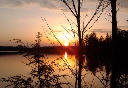 ~~; Seminole Sunset ;~~ - lake, trees, sunset, nature