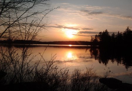 ~~; perfect spot to renew our vows ;~~ - lake, trees, sunset, come on say yes