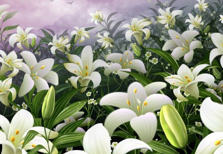 White lilies - nature, lily, lot, flower, lillies