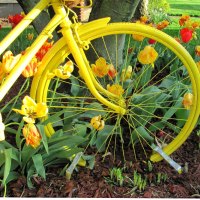 Bicycle Built For Spring