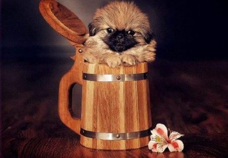 Just 2 Cute - pup, dogs, animals, mug