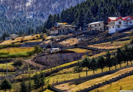 lovely mountain village of kelardasht iran - forest, mountains, hill, village, fields