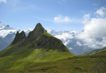 swiss alps - swiss alps, field, fun, nature, mountain