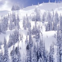 winter on hurricane ridge olympia np washington