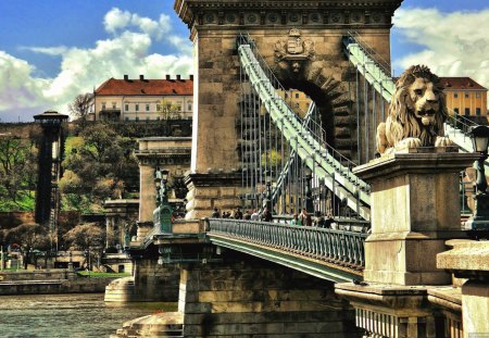 wonderful chain bridge in budapest - river, old, city, statues, bridge