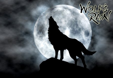 Wolfs rain - moon, night, wolf, wild