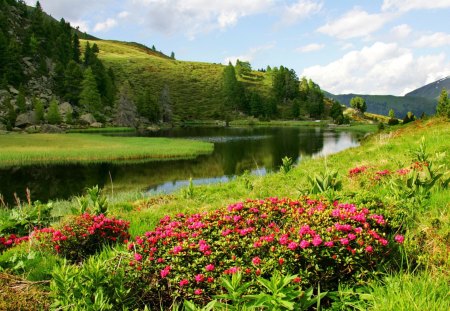 Riverscape - nice, sky, trees, stream, greenery, creek, quiet, pretty, reflection, river, green, grass, mountain, flow, riverscape, summer, shore, lovely, nature, beautiful, flowers