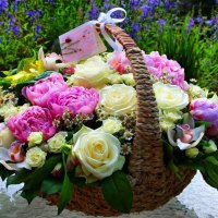 Basket with flowers for all DN friends