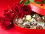 Red roses and chocolate