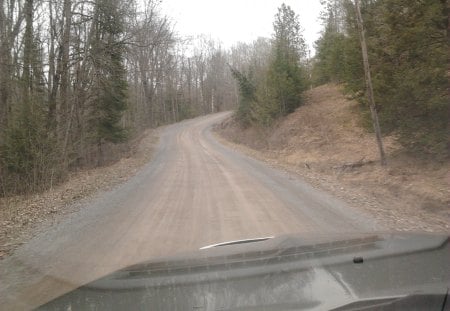 ~~;  backroad drivin ;~~ - trees, driving, country, backroad