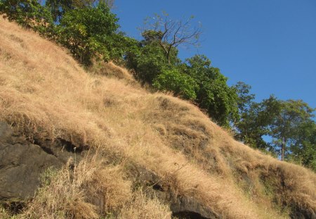 Matheran Hill Station, India - nature, mountains, hill station, scenic