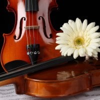 Flowers music