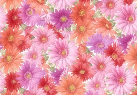 pretty flowers - colors, wallpaper, flowers, pink