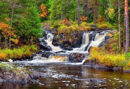 Forest waterfall