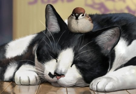 Cat n Bird - sleeping, realistic, cute, adorable, cat, lying, kitty, lovely, bird, kitten, cg, hd, sleep, kawaii, 3d, animal, sweet