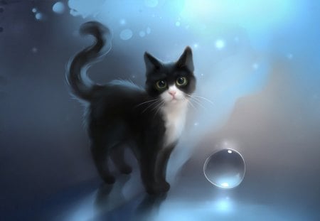 blue cat - fantasy, blue, animals, cat