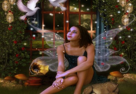 MY GUARDIAN FAIRY - doves, female, wings, fairy, birds