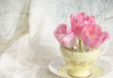 * Three cute tulips * - note, pink, three, plate, tulips, vintage, soft, cute, words, cup