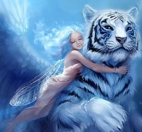 tiger love