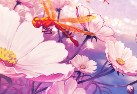 Spring - flower, fly, pink, spring, yellow, blue, wings, petals, dragonfly, field, orange, insect, daisy